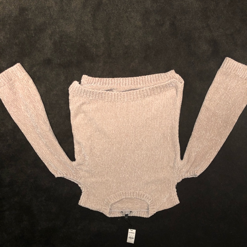 Express Nude Sweater